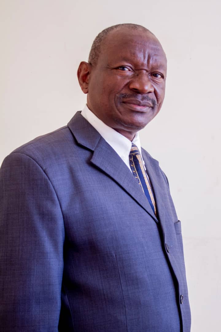 Ignatius Dedani Ncube, published by Sotrane Publishers
